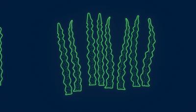 Светодиодная консоль Водоросль 5 RichLed