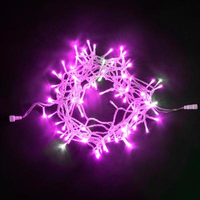 Светодиодная нить Laitcom, 10м, 24V, 100 LED, IP54, прозр.провод, розовый (мерцание БЕЛЫЙ ДИОД)