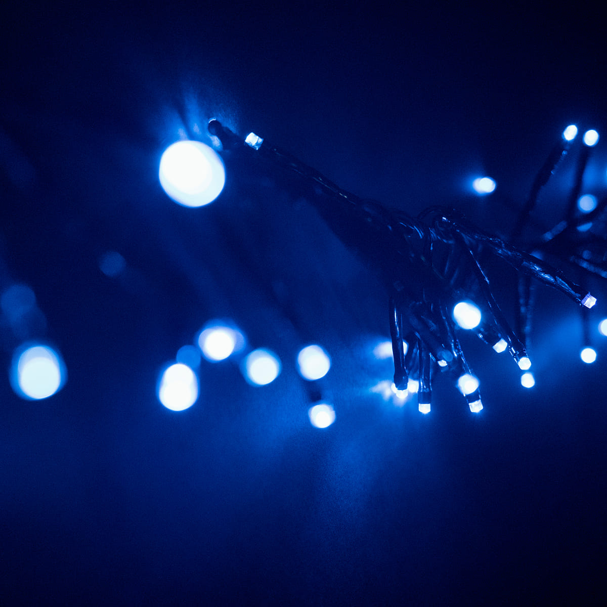 Качественная картинка Кластерная гирлянда Laitcom, с мини диодами, 2,4 м, 192 LED, IP54, черный провод ПВХ, синий