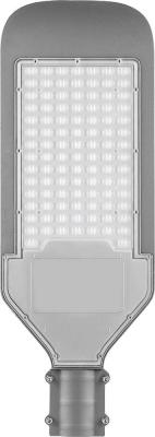 Уличный светодиодный светильник 100LED*100W AC100-265V/ 50Hz, цвет серый (IP65), SP2924