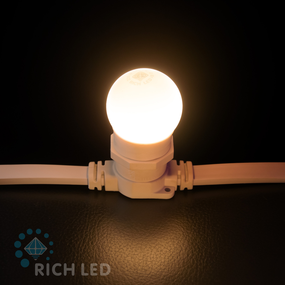 Качественная картинка Светодиодная лампа для Белт-лайта Rich LED, 24В, 2 Вт, d=45 мм, теплая белая, RL-B-E27-G45-24V-2W-WW