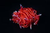 Светодиодная гирлянда нить Teamprof, 10м, 100 LED, 24В, мерцание, красный провод, герм.колп, красный