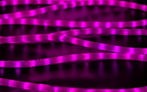 Качественная картинка Светодиодный дюралайт Teamprof, 2-х проводной, круглый, матовый, 13 мм, 2Вт, 220В, статика, розовый