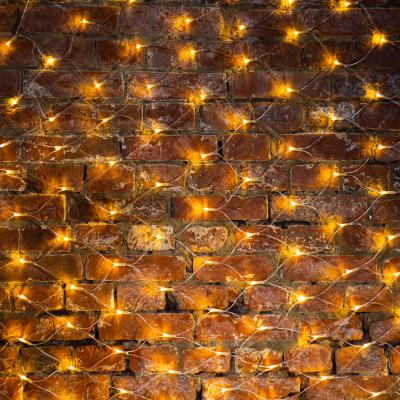 Cветодиодная cеть NEON-NIGHT 2х1,5м ТЕПЛЫЙ БЕЛЫЙ прозрачный ПВХ IP65 динамика 230В