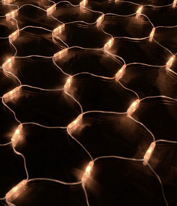 Качественная картинка Светодиодная сеть Laitcom, 2x2м, 256 led, IP54, 24V, черн. пр., теплый белый