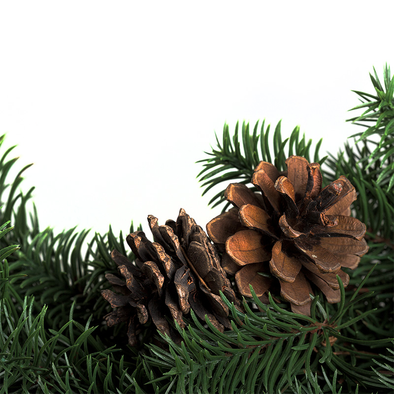 Качественная картинка Еловый венок с шишками NEON-NIGHT Ø 45см, Литой