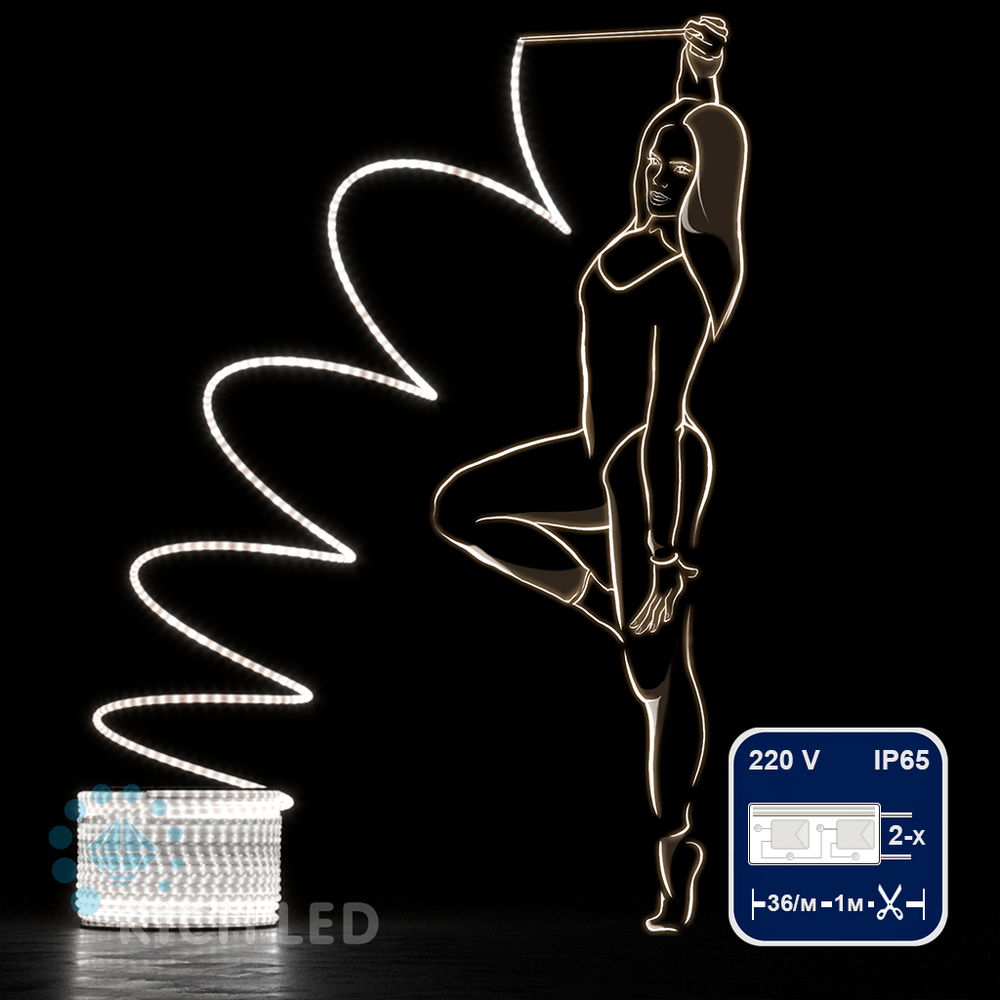 Качественная картинка Дюралайт 2-х проводной RichLed МОЛОЧНЫЙ, постоянное свечение, цвет белый