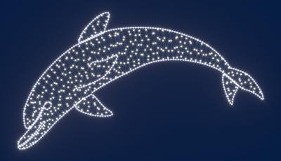 Светодиодная консоль Дельфин №1 RichLed