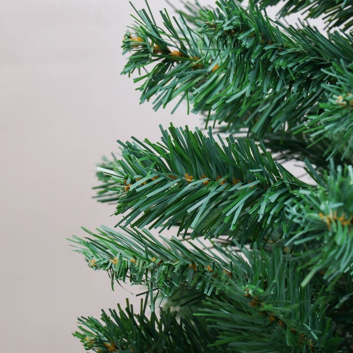 Качественная картинка Ель голубая 120 см, d нижнего яруса 70 см, 238 веток