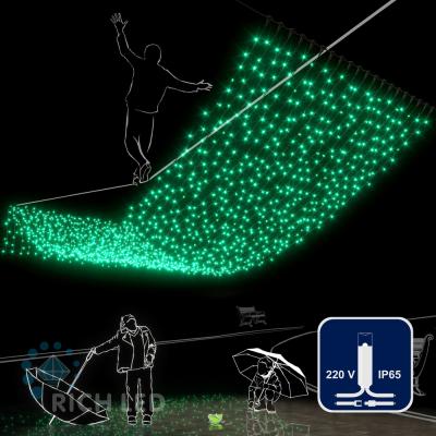 Светодиодный занавес RichLed, 2*6 м, 220 В, пост.свечение, IP 65, герметичный колпачок, цвет зеленый