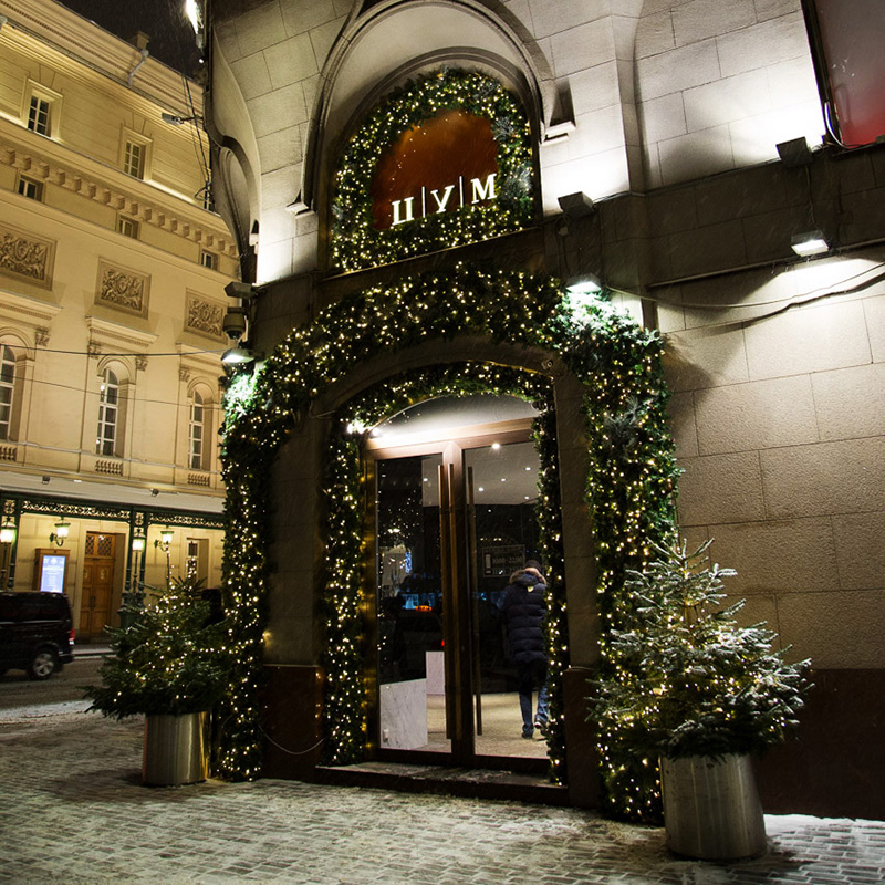 Качественная картинка Гирлянда еловая с шишками 2,7м, диаметр 36см, ПВХ NEON-NIGHT