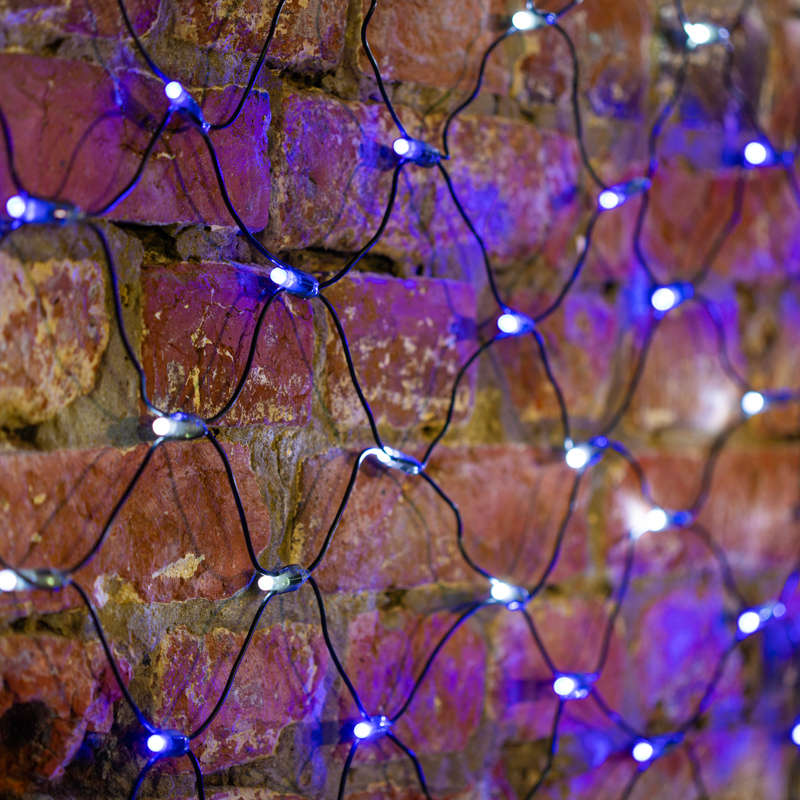 Качественная картинка Cветодиодная cеть NEON-NIGHT 2х1,5м БЕЛЫЙ/СИНИЙ черный ПВХ IP65 динамика 230В