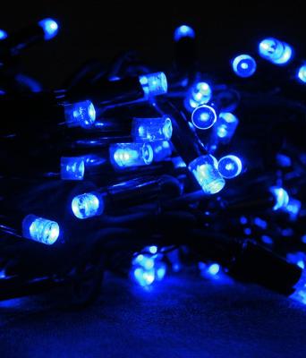 Светодиодная нить с колп. Laitcom, 10м, 75 LED, IP65, 24V, черн. пр., синий Светодиодная нить с колп. Laitcom, 10м, 75 LED, IP65, 24V, черн. пр., синий